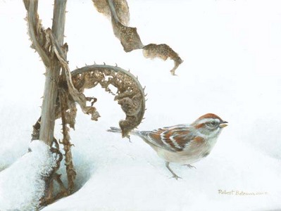 Tree Sparrow And Teasal- Signed By The Artist								 – Paper Lithograph
								 – Limited Edition
								 – 950 S/N
								 – 
								9 x 12