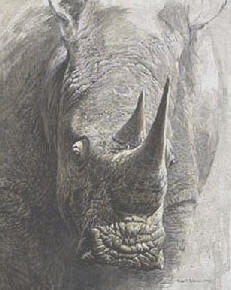White Rhinoceros – Sappi Portfolio- Signed By The Artist								 – Paper Lithograph
								 – Limited Edition
								 – 550 S/N
								 – 
								20 x 16 3/4