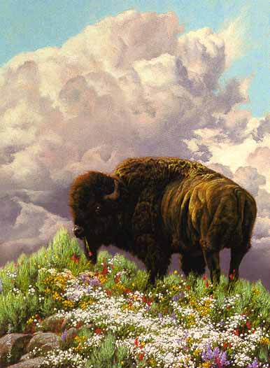 Ferdinand- Signed By The Artist								 – Paper Lithograph
								 – Limited Edition
								 – 750 S/N
								 – 
								25 x 18
