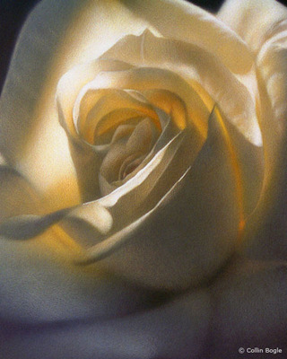 Inner Glow- Signed By The Artist								 – Canvas Giclee
								 – Limited Edition
								 – A/P
								 – 
								10 x 8