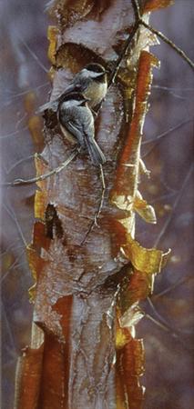 Sunlit Birch- Signed By The Artist								 – Canvas Giclee
								 – Limited Edition
								 – 250 S/N
								 – 
								18 3/4 x 9