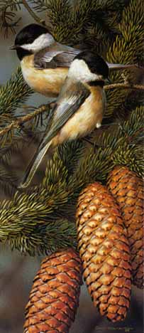 Black-Capped Chickadees- Signed By The Artist								 – Paper Lithograph
								 – Limited Edition
								 – 950 S/N
								 – 
								12 1/2 x 5 1/2