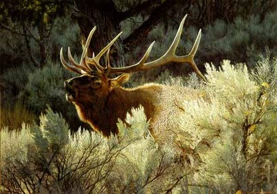 Indian Summer – Bugling Elk- Signed By The Artist								 – Paper Lithograph
								 – Limited Edition
								 – 1500 S/N
								 – 
								22 1/4 x 31