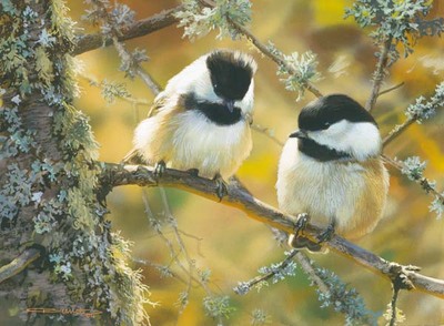 In The Black – Black-Capped Chickadees- Signed By The Artist								 – Paper Lithograph
								 – Limited Edition
								 – 650 S/N
								 – 
								6 x 8