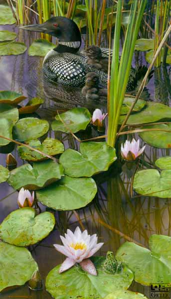 In The Swim Of Things- Signed By The Artist								 – Paper Giclee
								 – Limited Edition
								 – 18 A/P
								 – 
								40 x 23 3/8