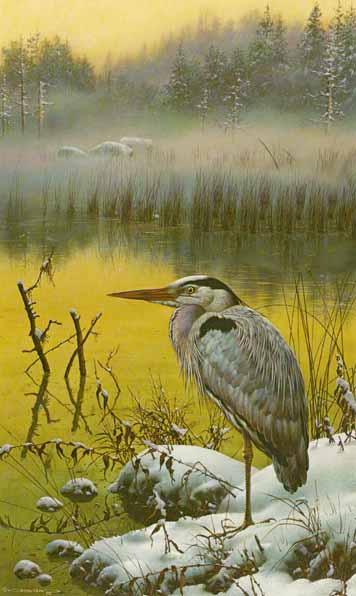 Late Snow – Great Blue Heron- Signed By The Artist								 – Paper Lithograph
								 – Limited Edition
								 – 950 S/N
								 – 
								22 1/4 x 12 3/4
