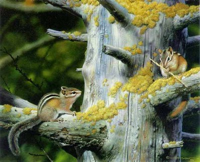 Playful Pair – Chipmunks- Signed By The Artist								 – Paper Lithograph
								 – Limited Edition
								 – 20 P/P
								 – 
								13 1/2 x 16 3/4