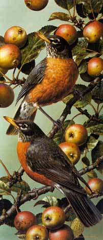Robins- Signed By The Artist								 – Paper Lithograph
								 – Limited Edition
								 – 950 S/N
								 – 
								12 1/2 x 5 1/2