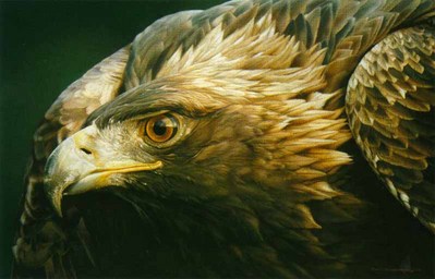 Sovereign Gold- Signed By The Artist								 – Paper Lithograph
								 – Limited Edition
								 – 950 S/N
								 – 
								21 x 32 1/2