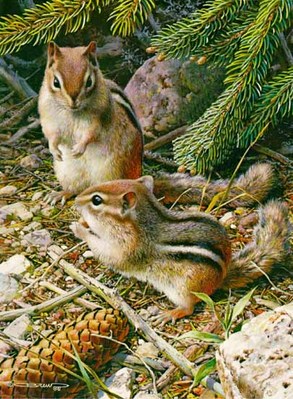 Under The Pine Trees – Chipmunks- Signed By The Artist								 – Paper Lithograph
								 – Limited Edition
								 – 950 S/N
								 – 
								10 5/8 x 7 1/4