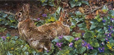 Violet Trails And Cottontails- Signed By The Artist								 – Paper Lithograph
								 – Limited Edition
								 – 2500 S/N
								 – 
								12 x 24 1/4