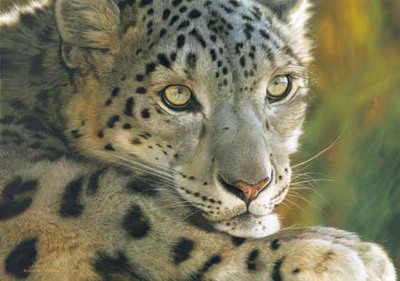 West Of The Moon – Snow Leopard- Signed By The Artist								 – Canvas Lithograph
								 – Limited Edition
								 – 350 S/N
								 – 
								21 x 30