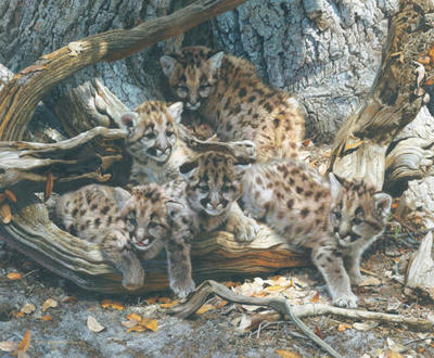 While The Cat’s Away- Signed By The Artist								 – Paper Lithograph
								 – Limited Edition
								 – 950 S/N
								 – 
								22 1/2 x 27 3/4