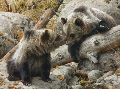 Alaska Chat- Signed By The Artist								 – Paper Lithograph
								 – Limited Edition
								 – 650 S/N
								 – 
								17 1/2 x 23 1/2