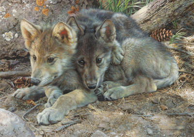 Brotherly Love – Wolf Pups- Signed By The Artist								 – Canvas Giclee
								 – Limited Edition
								 – 180 S/N
								 – 
								10 x 14