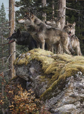 Lookout Tower – Wolves- Signed By The Artist								 – Paper Lithograph
								 – Limited Edition
								 – 76 A/P
								 – 
								30 3/4 x 22 3/4								
								 –
