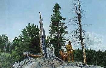 One With The Land- Signed By The Artist								 – Paper Lithograph
								 – Limited Edition
								 – 950 S/N
								 – 
								20 x 31