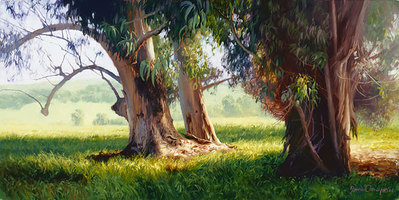 Eucalyptus Trunks- Signed By The Artist								 – Canvas Giclee
								 – Limited Edition
								 – 95 S/N
								 – 
								8 x 16