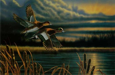 Widgeon – Out Front- Signed By The Artist								 – Paper Lithograph
								 – Limited Edition
								 – 550 S/N
								 – 
								16 x 25