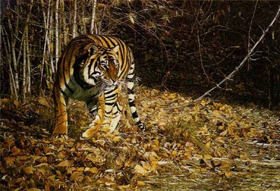 Indian Summer- Signed By The Artist								 – Paper Lithograph
								 – Limited Edition
								 – A/P
								 – 
								21 1/8 x 29
