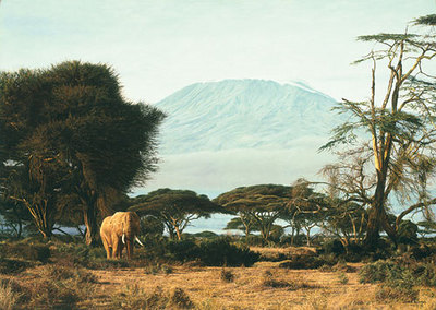 Kilimanjaro Morning- Canvas Giclee
								 – Limited Edition
								 – 150 Limited
								 – 
								30 x 42