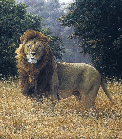 Simba- Signed By The Artist								 – Paper Lithograph
								 – Limited Edition
								 – 850 S/N
								 – 
								22 1/2 x 19 5/8