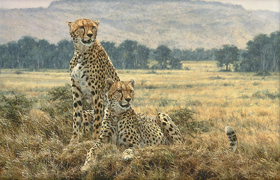 Cheetah Pair- Canvas Giclee
								 – Limited Edition
								 – 50 Numbered
								 – 
								18 x 28