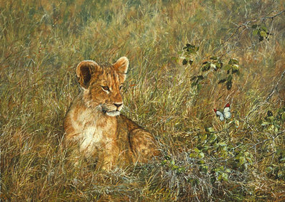 Lion Cub And Butterfly- Canvas Giclee
								 – Limited Edition
								 – 75 Limited
								 – 
								10 x 14