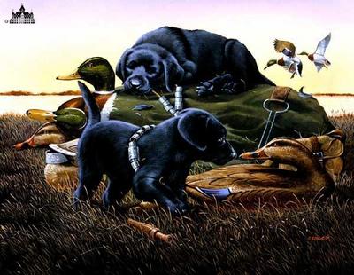 Dog Days- Signed By The Artist								 – Canvas Lithograph
								 – Limited Edition
								 – 950 S/N
								 – 
								16 x 20