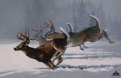 Once In A Lifetime- Signed By The Artist								 – Canvas Lithograph
								 – Limited Edition
								 – 750 S/N
								 – 
								22 x 33