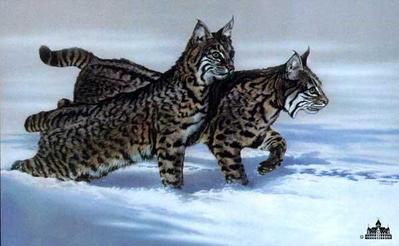 Snow Hunters- Signed By The Artist								 – Paper Lithograph
								 – Limited Edition
								 – 950 S/N
								 – 
								18 1/2 x 29 1/2