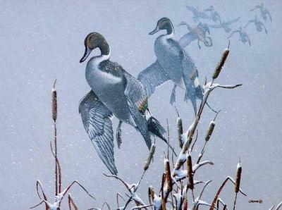 Snowy Refuge- Signed By The Artist								 – Canvas Lithograph
								 – Limited Edition
								 – 950 S/N
								 – 
								16 1/2 x 22