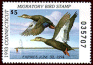 Connecticut – Migratory Bird (1993-2012)