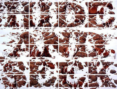 Hide And Seek – (7 Piece Set)- Signed By The Artist								 – Paper Lithograph
								 – Limited Edition
								 – 25000 S/N
								 – 
								20 3/4 x 27