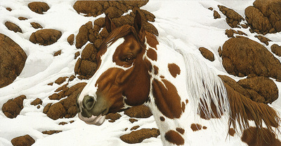 Hide And Seek – A-2- Paper Lithograph
								 – Limited Edition
								 – 25000 Limited
								 – 
								5 1/4 x 10 1/4