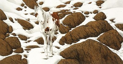 Hide And Seek – B-3- Paper Lithograph
								 – Limited Edition
								 – 25000 Limited
								 – 
								5 1/4 x 10 1/4