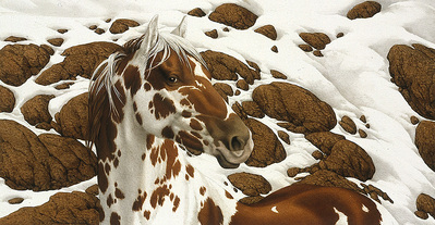 Hide And Seek – C-1- Paper Lithograph
								 – Limited Edition
								 – 25000 Limited
								 – 
								5 1/4 x 10 1/4