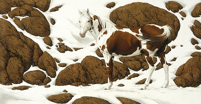 Hide And Seek – C-2- Paper Lithograph
								 – Limited Edition
								 – 25000 Limited
								 – 
								5 1/4 x 10 1/4