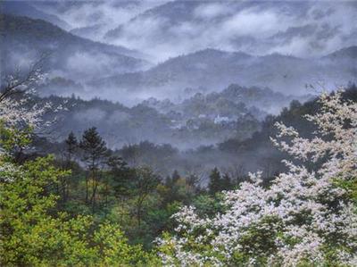 The Church In The Valley- Signed By The Artist								 – Canvas Lithograph
								 – Limited Edition
								 – 250 S/N
								 – 
								21 x 28