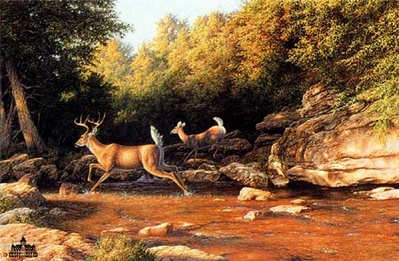 Swift Retreat- Signed By The Artist								 – Paper Lithograph
								 – Limited Edition
								 – 1600 S/N
								 – 
								17 x 26