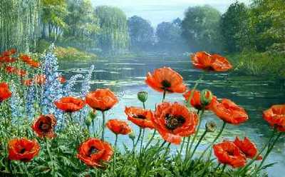 Monet’s Pond – Early Morning- Signed By The Artist								 – Paper Lithograph
								 – Limited Edition
								 – 56 A/P
								 – 
								18 x 30