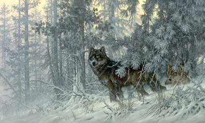 Phantom Of The North- Signed By The Artist								 – Canvas Lithograph
								 – Limited Edition
								 – 242 S/N
								 – 
								22 x 37