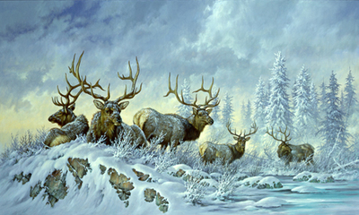 Solstice Rendezvous – Elk- Signed By The Artist								 – Paper Lithograph
								 – Limited Edition
								 – 650 S/N
								 – 
								19 7/8 x 32