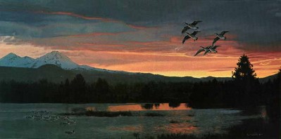 Cascade Landing- Signed By The Artist								 – Paper Lithograph
								 – Limited Edition
								 – 950 S/N
								 – 
								11 3/8 x 23 1/8