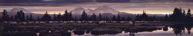 Echoes Of Sunset- Signed By The Artist								 – Paper Lithograph
								 – Limited Edition
								 – 1750 S/N
								 – 
								12 1/8 x 49