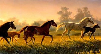 A Brand New Hope- Signed By The Artist								 – Paper Lithograph
								 – Limited Edition
								 – 1200 S/N
								 – 
								17 x 34
