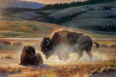 Eye Of The Storm- Signed By The Artist								 – Canvas Giclee
								 – Limited Edition
								 – 350 S/N
								 – 
								24 x 36