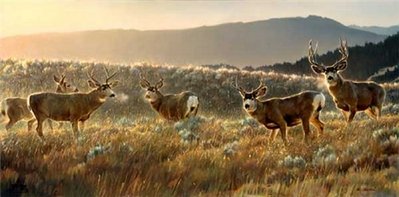 The Gathering Place- Signed By The Artist								 – Paper Lithograph
								 – Limited Edition
								 – 1200 S/N
								 – 
								17 x 34