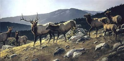 High Country- Signed By The Artist								 – Paper Lithograph
								 – Limited Edition
								 – 1200 S/N
								 – 
								17 x 34
