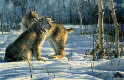 Lynx Light- Signed By The Artist								 – Canvas Lithograph
								 – Limited Edition
								 – 250 S/N
								 – 
								20 x 30								
								 –